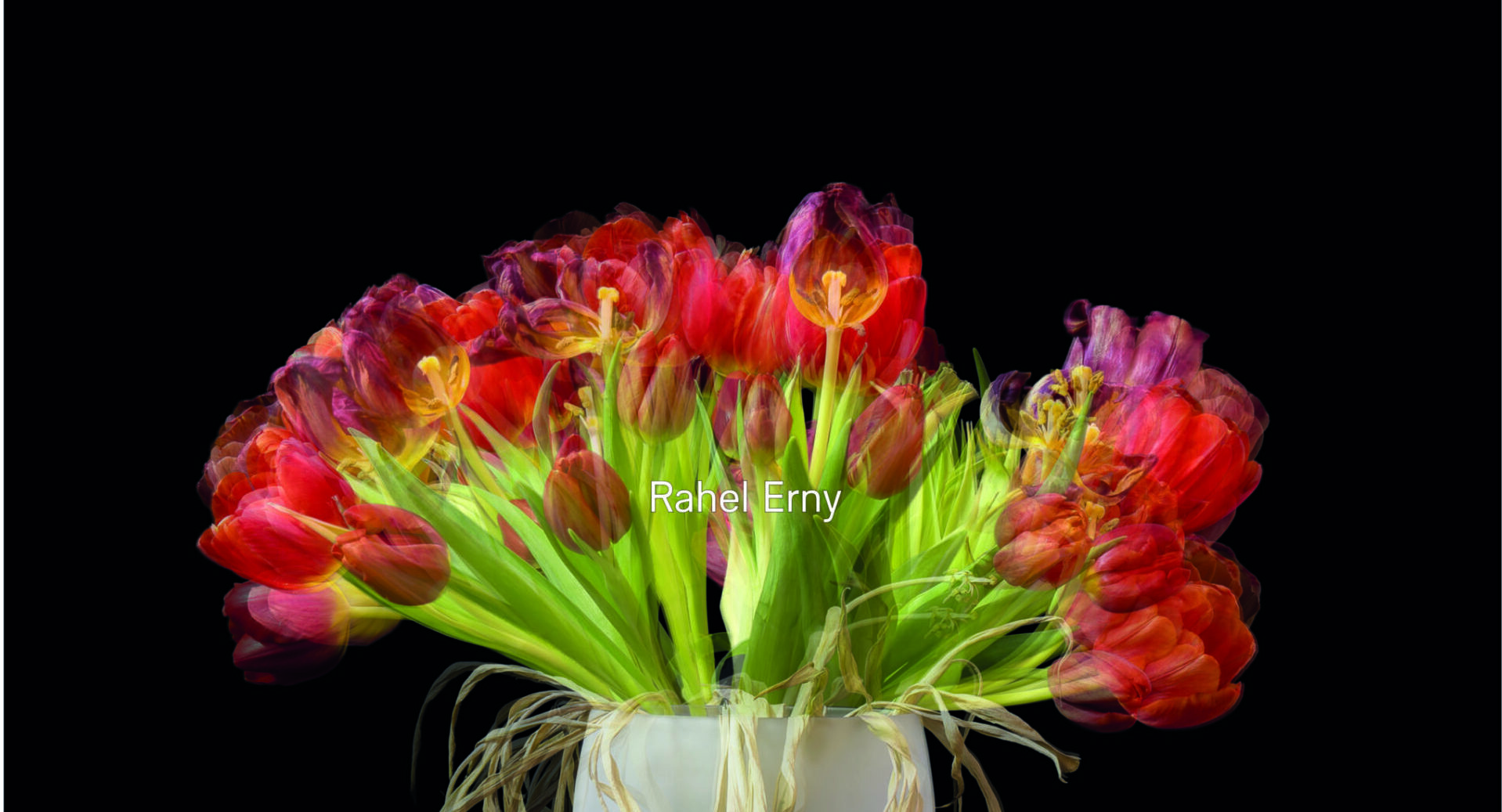 Rote Tulpen Rahel Erny